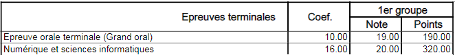 Relevé officiel Bac 2022 - Spécialité NSI : 20/20, Grand Oral NSI : 19/20